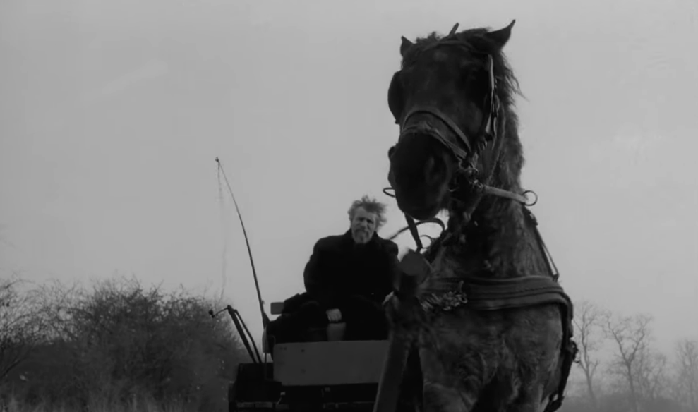 Bela Tarr S The Turin Horse Popula