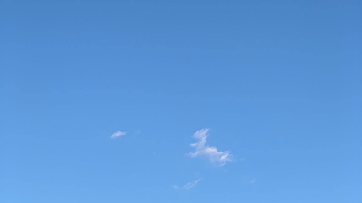 A picture of a blue sky with a wispy cloud and no hawk visible