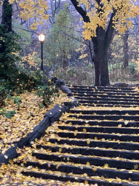 A staircase in the park covered with brilliant yellow leaves. Midway up the steps, a tree with yellow leaves and an ornate lamppost still illuminated in the morning gloom